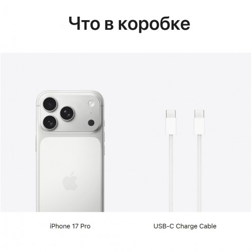 Смартфон Apple iPhone 17 Pro 1TB SIM+eSIM Silver (серебристый) 5