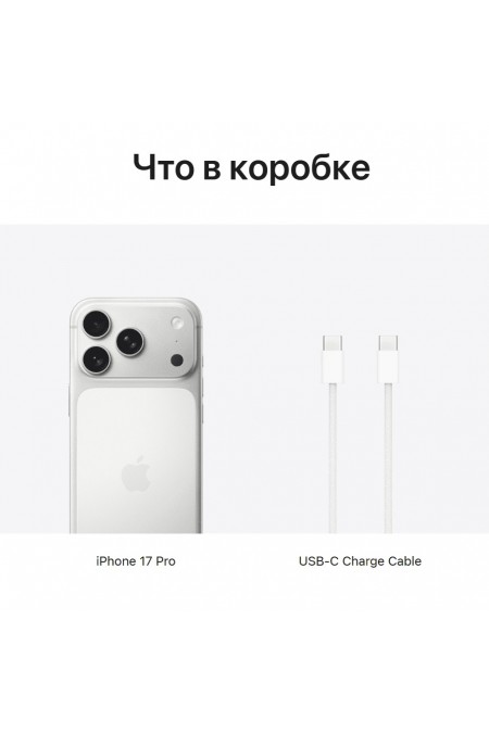 Смартфон Apple iPhone 17 Pro 1TB SIM+eSIM Silver (серебристый) 2