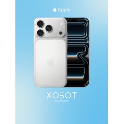 Смартфон Apple iPhone 17 Pro 256GB Silver (серебристый)
