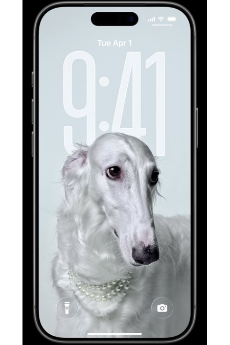 Смартфон Apple iPhone 17 Pro Max 512GB Dual nano SIM Silver (серебристый) 5