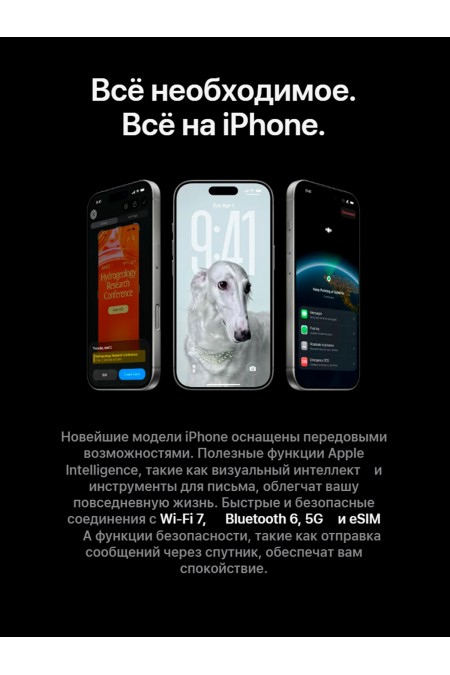 Смартфон Apple iPhone 17 Pro Max 512GB eSIM Silver (серебристый) 6