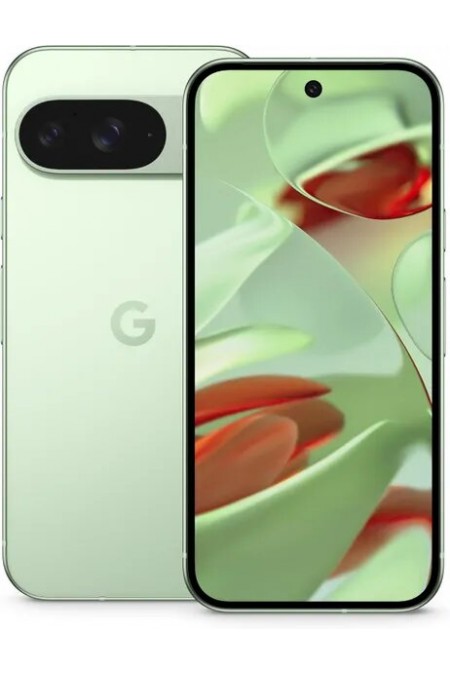 Смартфон Google Pixel 9 12/128GB Winter Green (зимний зеленый) 