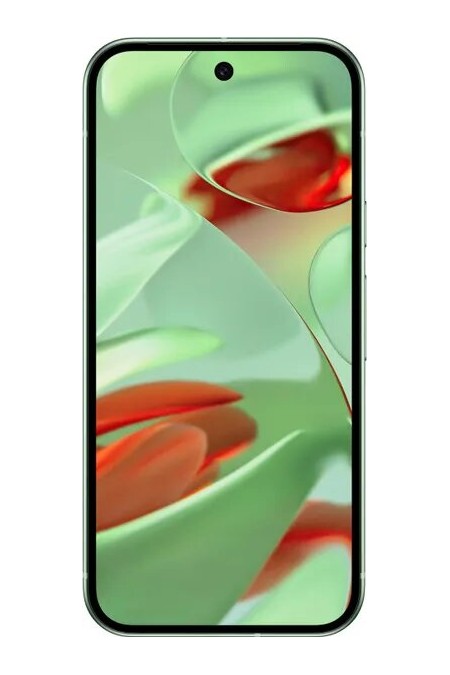 Смартфон Google Pixel 9 12/128GB Winter Green (зимний зеленый) 1