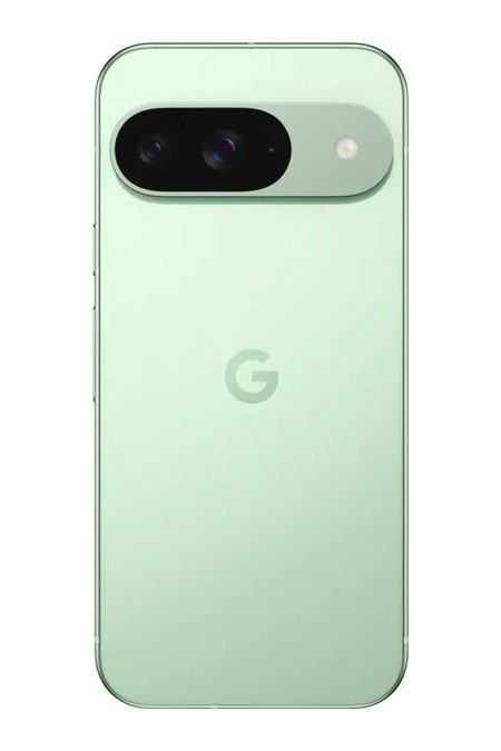 Смартфон Google Pixel 9 12/128GB Winter Green (зимний зеленый) 2