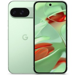 Смартфон Google Pixel 9 12/128GB Winter Green (зимний зеленый)