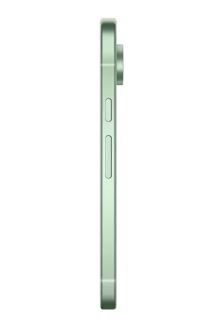 Смартфон Google Pixel 9 12/128GB Winter Green (зимний зеленый) 4