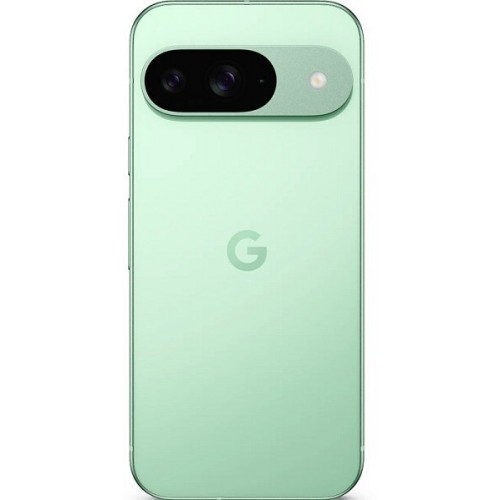 Смартфон Google Pixel 9 12/128GB Winter Green (зимний зеленый) 6