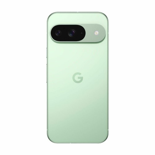 Смартфон Google Pixel 9 12/256GB Winter Green (зимний зеленый) 4