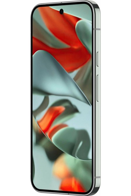 Смартфон Google Pixel 9 Pro 16/128GB Hazel (ореховый) 4