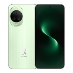 Смартфон HUAWEI Nova 15 12/256GB Mint (мятный)