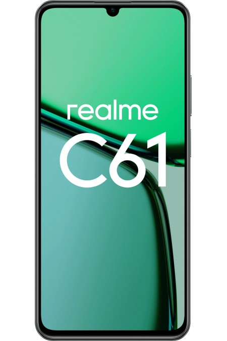 Смартфон realme C61 8/256GB Dark Green (темно-зеленый) 1