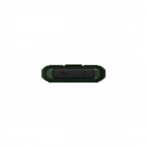 Телефон BQ 2454 Ray Green (зеленый) 1