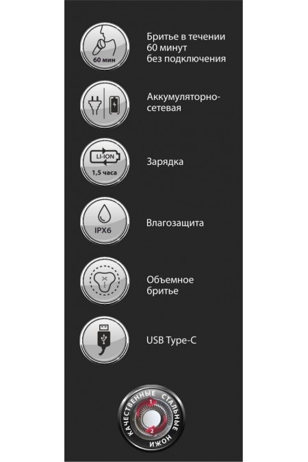 Электробритва Бердск 3319АС (черный) 4