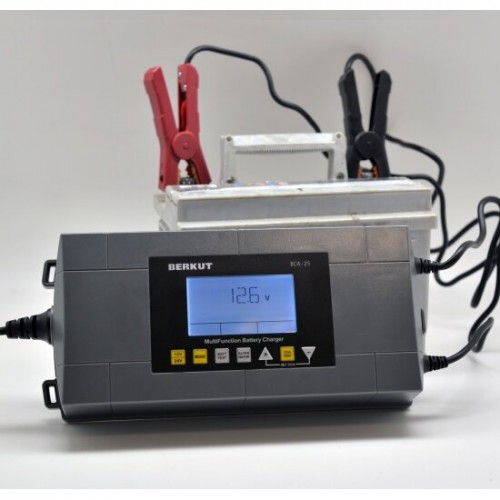 Зарядное устройство Berkut BCA-25 