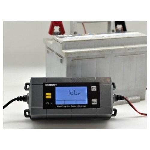 Зарядное устройство Berkut BCA-4 3