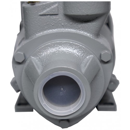 Насос поверхностный Ресанта ПСН-2400Ч (77/4/2) 7