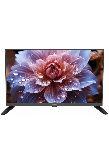 Телевизор GOLDSTAR LT-24R1100 (черный) 