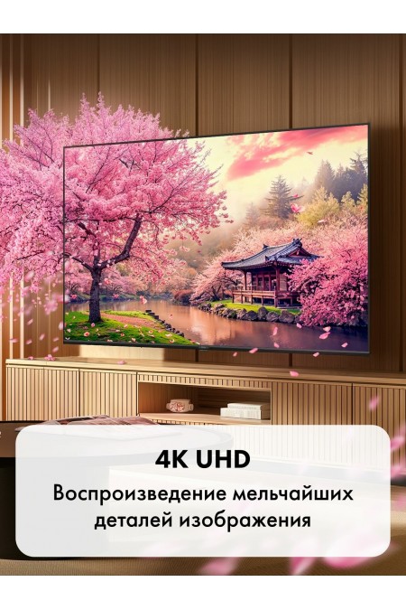 Телевизор Haier 43 LED H1 (черный) 3