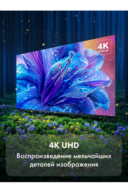 Телевизор Haier 43 Smart TV S2 (черный) 3
