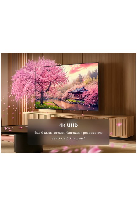 Телевизор Haier 55 LED H1 (черный) 4