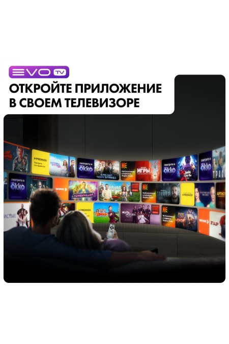 Телевизор Haier 55 Smart TV S4 (серебристый) 9