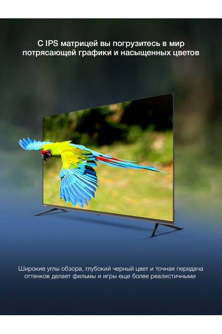 Телевизор Hyundai H-LED65BU7100 (серый) 2