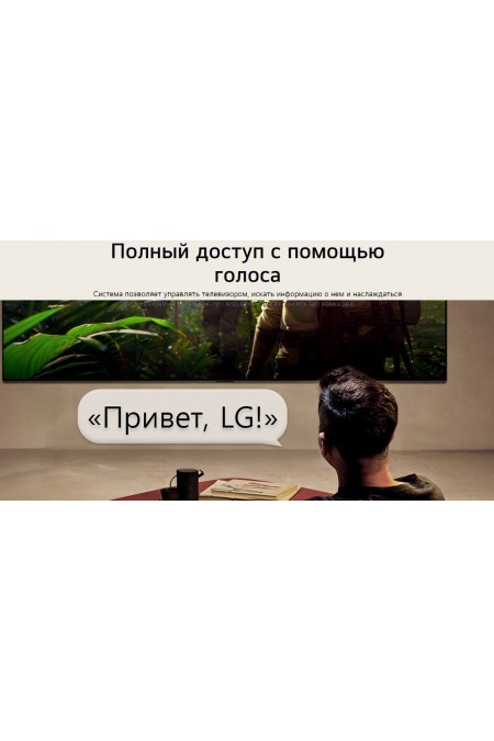 Телевизор LG OLED65C6RLA (черный) 2