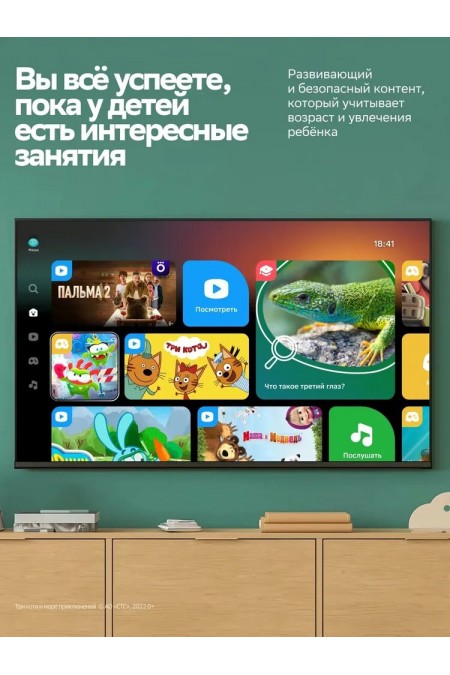 Телевизор SBER SDX-43F3000DSA (черный) 3