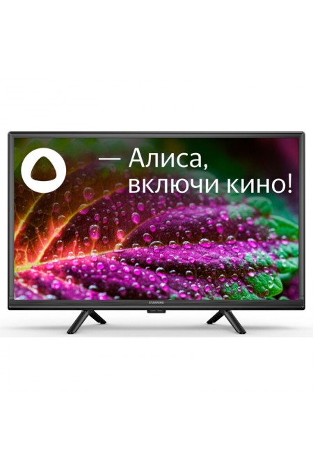 Телевизор STARWIND SW-LED24SG304 (черный) 