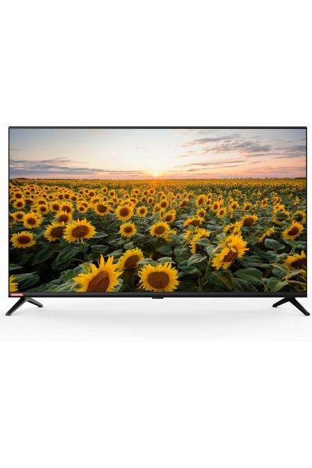 Телевизор STARWIND SW-LED40BG200 (черный) 