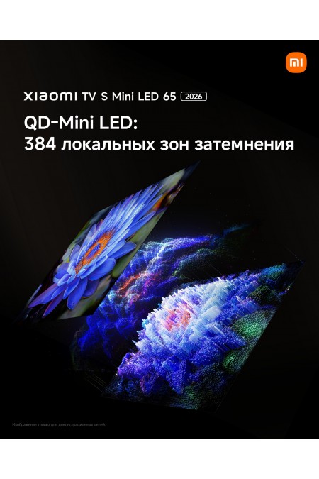Телевизор Xiaomi TV S Mini LED 65 2026 (L65MC-SRU) (темно-серый) 5