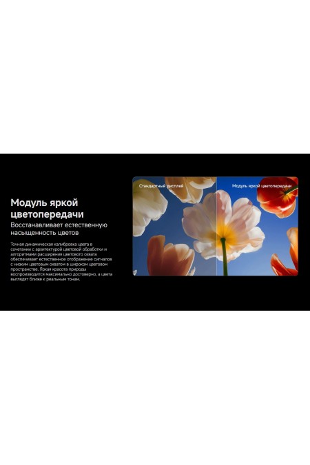 Телевизор Xiaomi TV S Mini LED 75 2026 (L75MC-SRU) (черный) 8