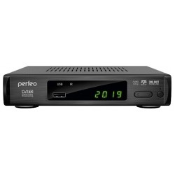 ТВ-тюнер Perfeo LEADER (черный)