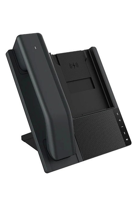 IP телефон Fanvil DB20-H (черный) 2