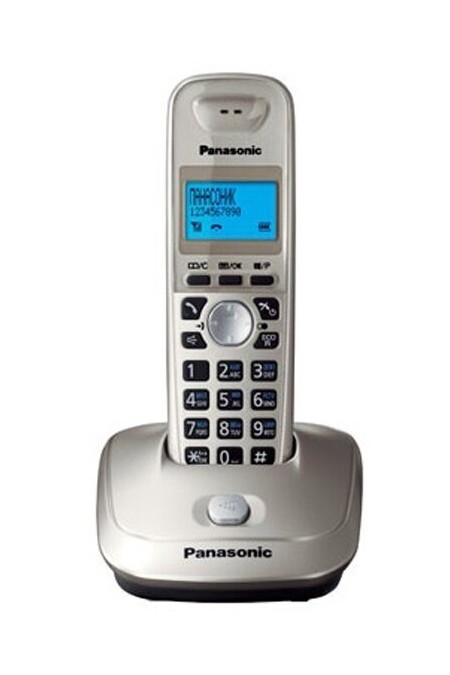 Радиотелефон Panasonic KX-TG2511RUN (платиновый) 1