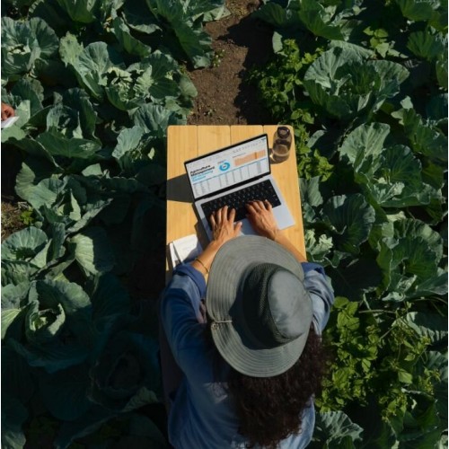 Ноутбук Apple MacBook Pro 14 2024 Apple M4, 16384 Mb, 14.2 3024x1964, 512 Gb SSD, Mac OS (MW2U3) (черный) 8