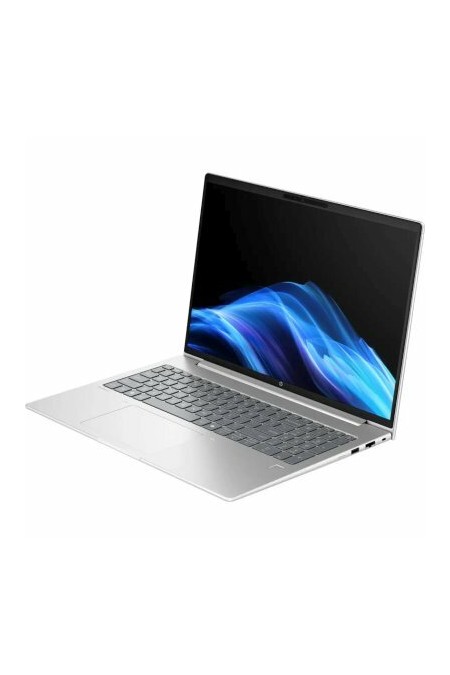 Ноутбук HP ProBook 4 G1iR 14 Intel Core 5 210H, 2.2 GHz - 4.8 GHz, 16384 Mb, 14 WUXGA 1920x1200, 512 Gb SSD, Intel Graphics, No OS (C1LK3PC) (серебристый) 3