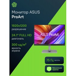 Монитор Asus PA248CNV (черный/серебристый)