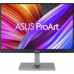 Монитор Asus PA248CNV (90LM05K1-B03370) (черный/серебристый)