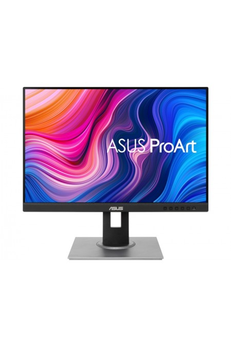 Монитор Asus PA248QV (90LM05K1-B01370) (черный) 