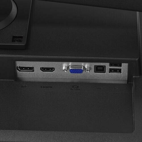 Монитор Asus VA24DQSB (черный) 4