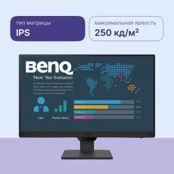 Монитор BenQ BL2490 (черный)