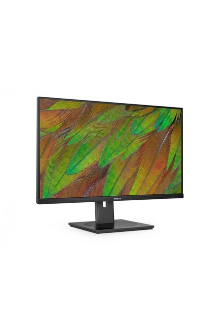 Монитор Philips 32B1U3900 (черный) 1