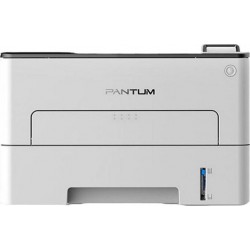 Принтер лазерный Pantum P3010DW (черный/белый)