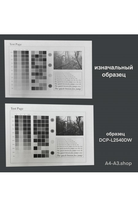 МФУ лазерное Brother DCP-L2540DW (черный) 9