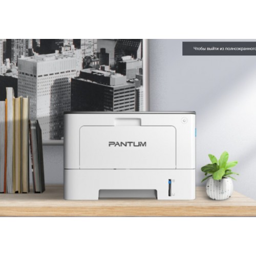 Принтер лазерный Pantum BP5100DN (черный/белый) 7