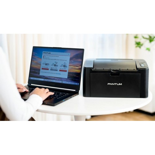 Принтер лазерный Pantum P2207 (черный) 8