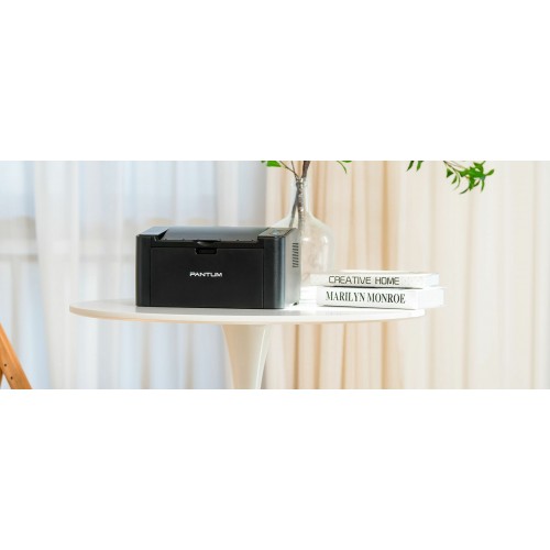 Принтер лазерный Pantum P2207 (черный) 9