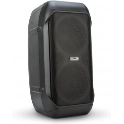 Портативная акустическая система Eltronic 20-98 CRAZY BOX 1200 (черный)