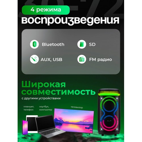 Мидисистема ELTRONIC 08 (30-72) CRAZY BOX 1000 (черный) 1